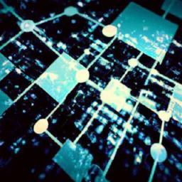 Bitcoin's pseudonymity: privacy benefits and crime risk Public ledger transparency and the practical limits of user privacy