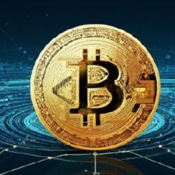 How bitcoin works: p2p network and cryptographic consensus Transaction lifecycle from creation to confirmation: validation,relaying and mempool management