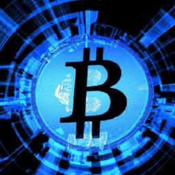 Bitcoin maximalists: belief in bitcoin's superiority Core technical and economic arguments underpinning belief in bitcoin's superiority