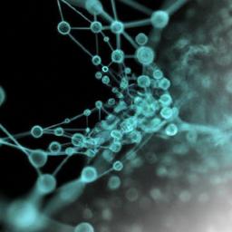 Can bitcoin be banned? Global ban is nearly impossible Technical obstacles to banning miners nodes and peer to peer networks