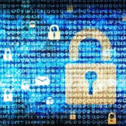 Custodial bitcoin wallets: third parties hold funds Legal and regulatory considerations for users of custodial wallets